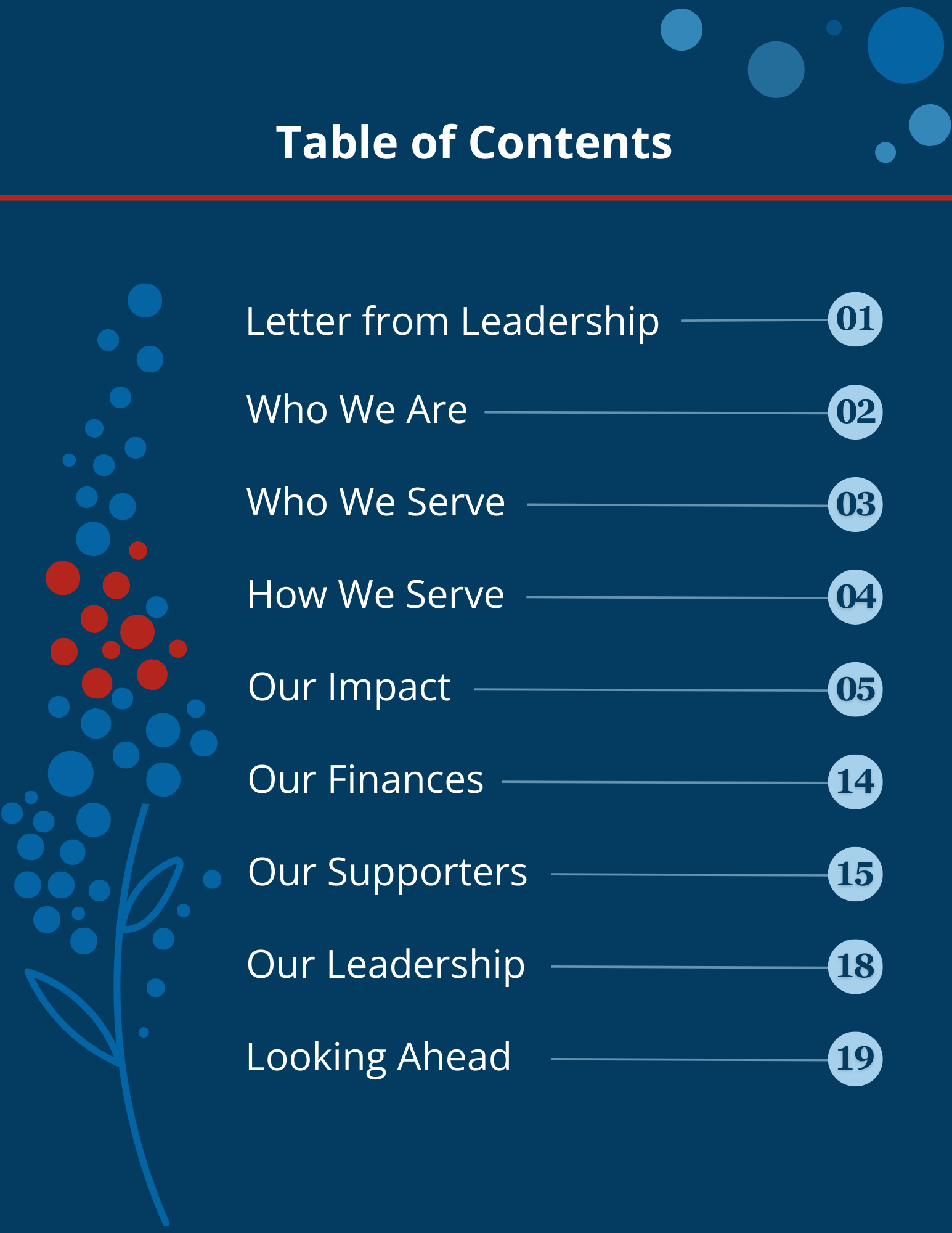 02_VOA Alaska 2025 Impact Report.